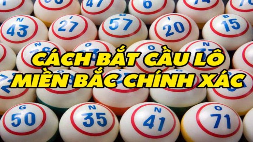 tổng hợp cách bắt lô chuẩn và hiệu quả nhất ai cũng nên biết